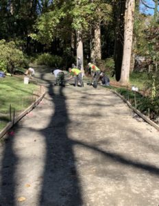 Concrete finishers work concrete for a residential driveway under several leafy trees in North Carolina.